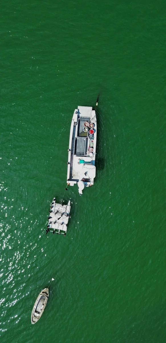 Photography collection item