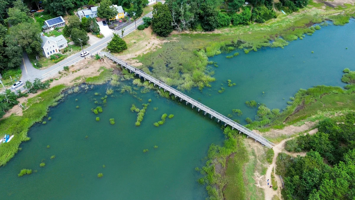 Photography collection item