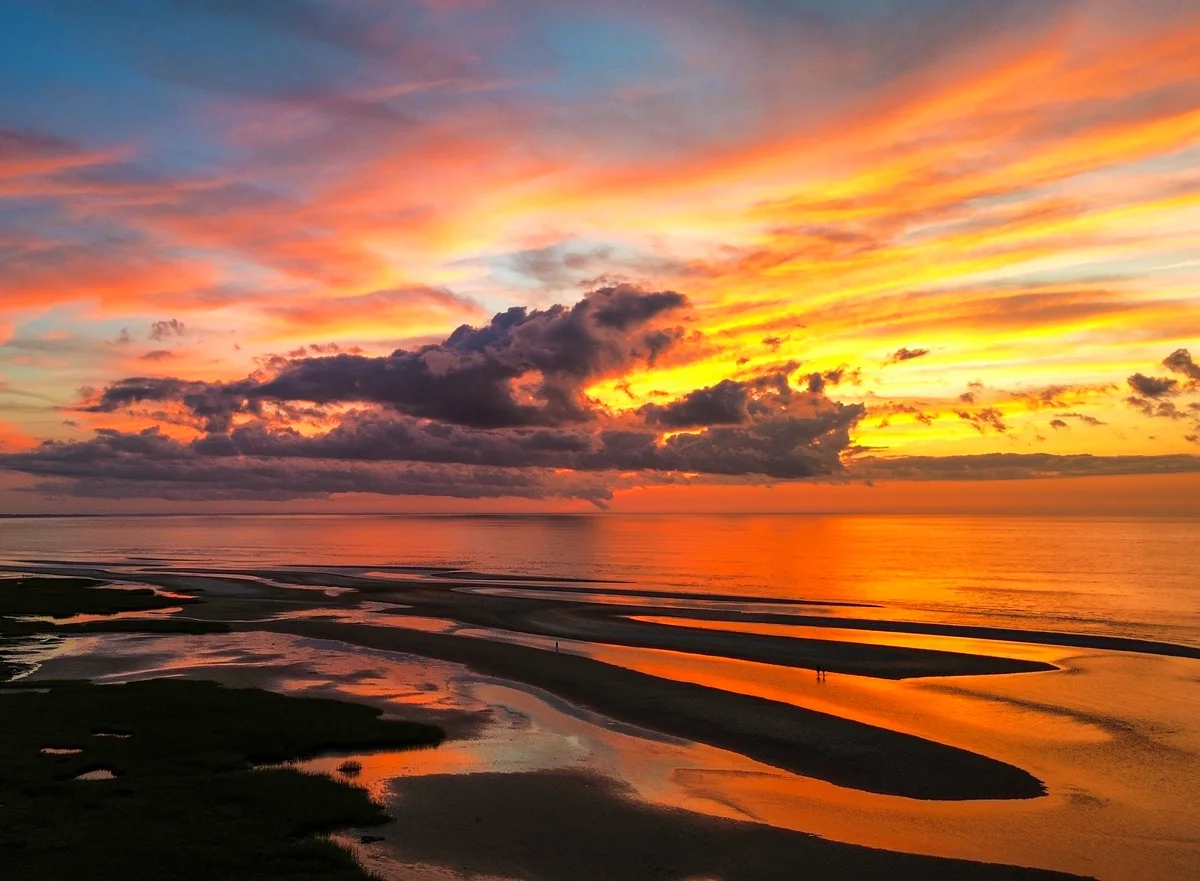 Photography collection item