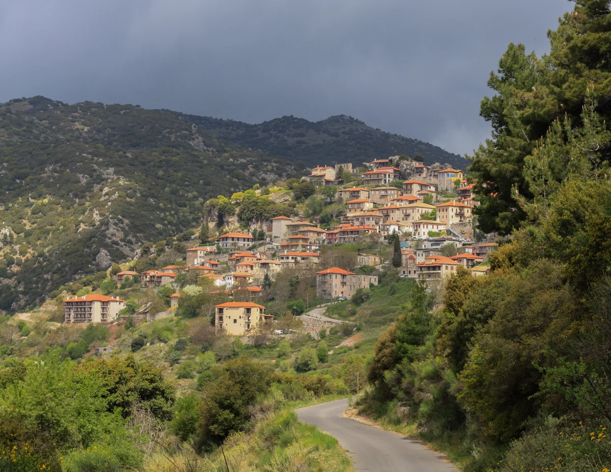 Photography collection item