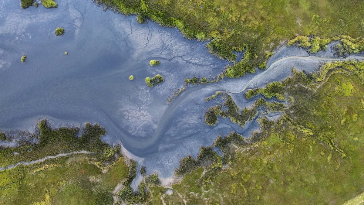 Photography collection item