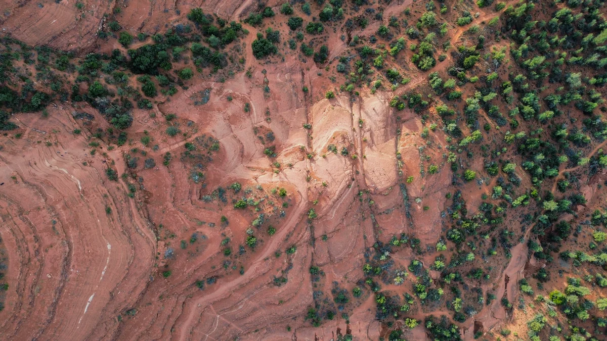 Photography collection item