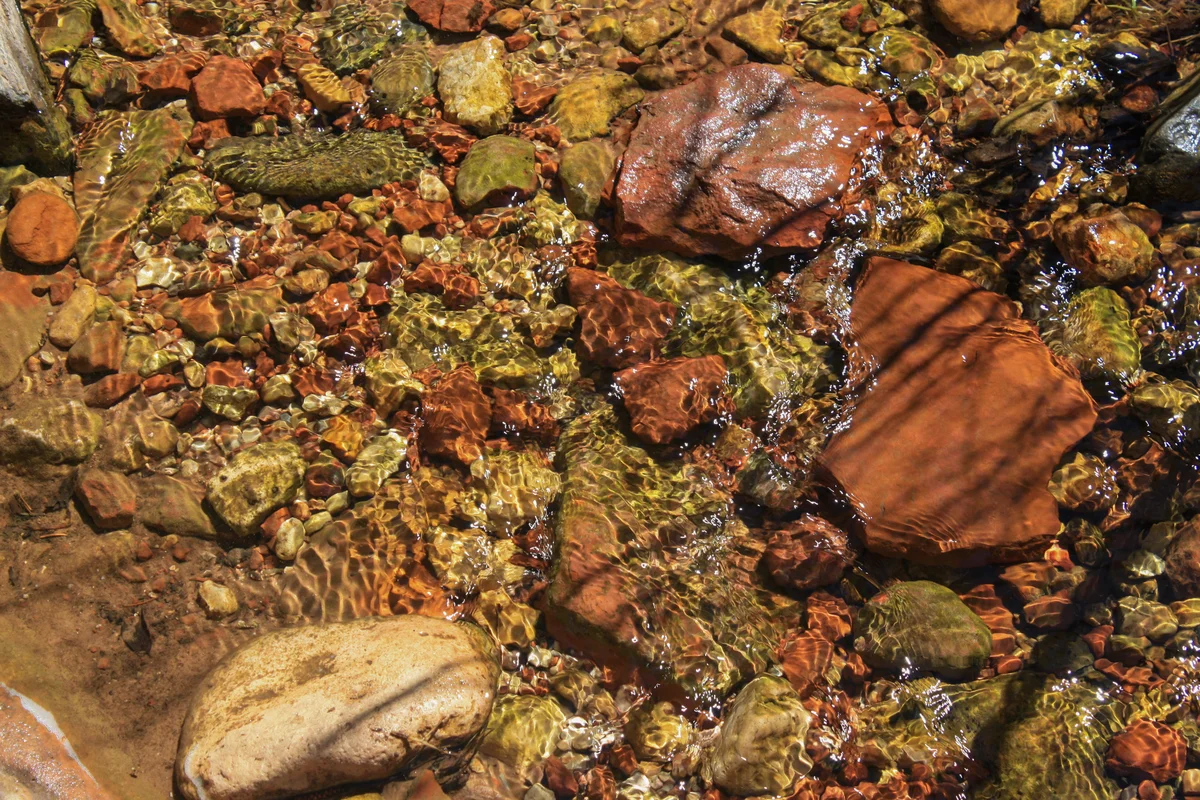 Photography collection item