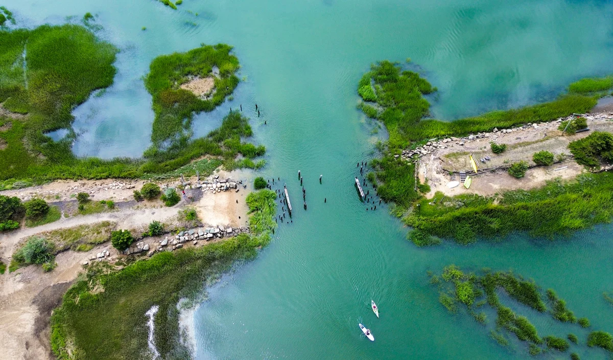 Photography collection item