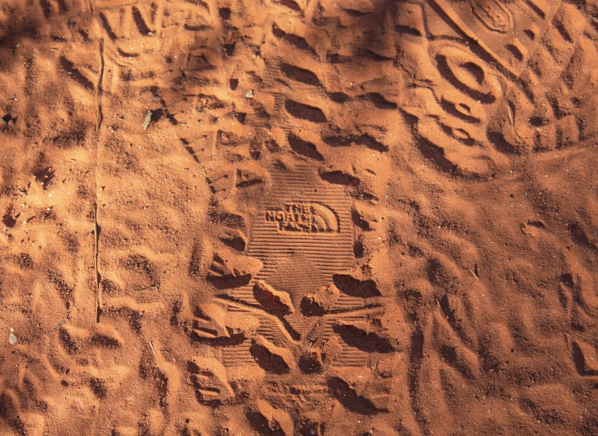 Photography collection item