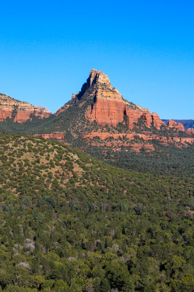 Photography collection item