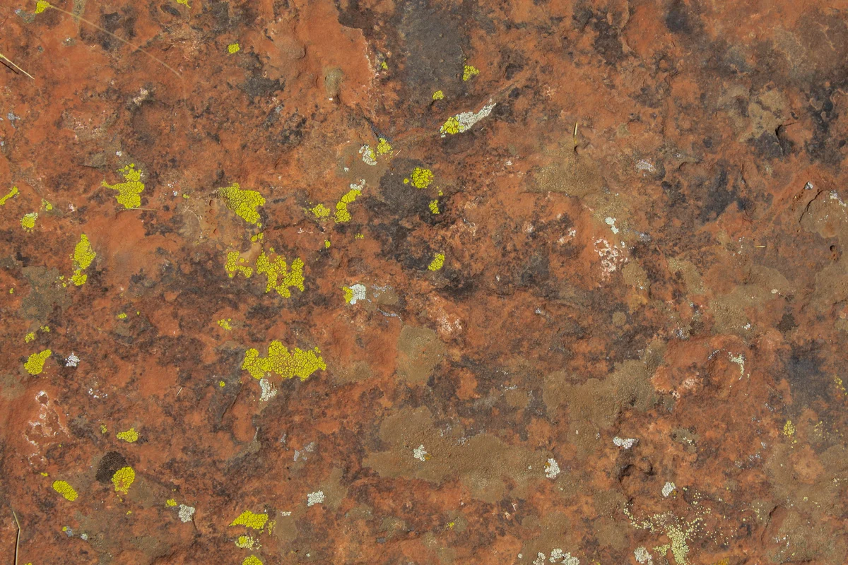 Photography collection item