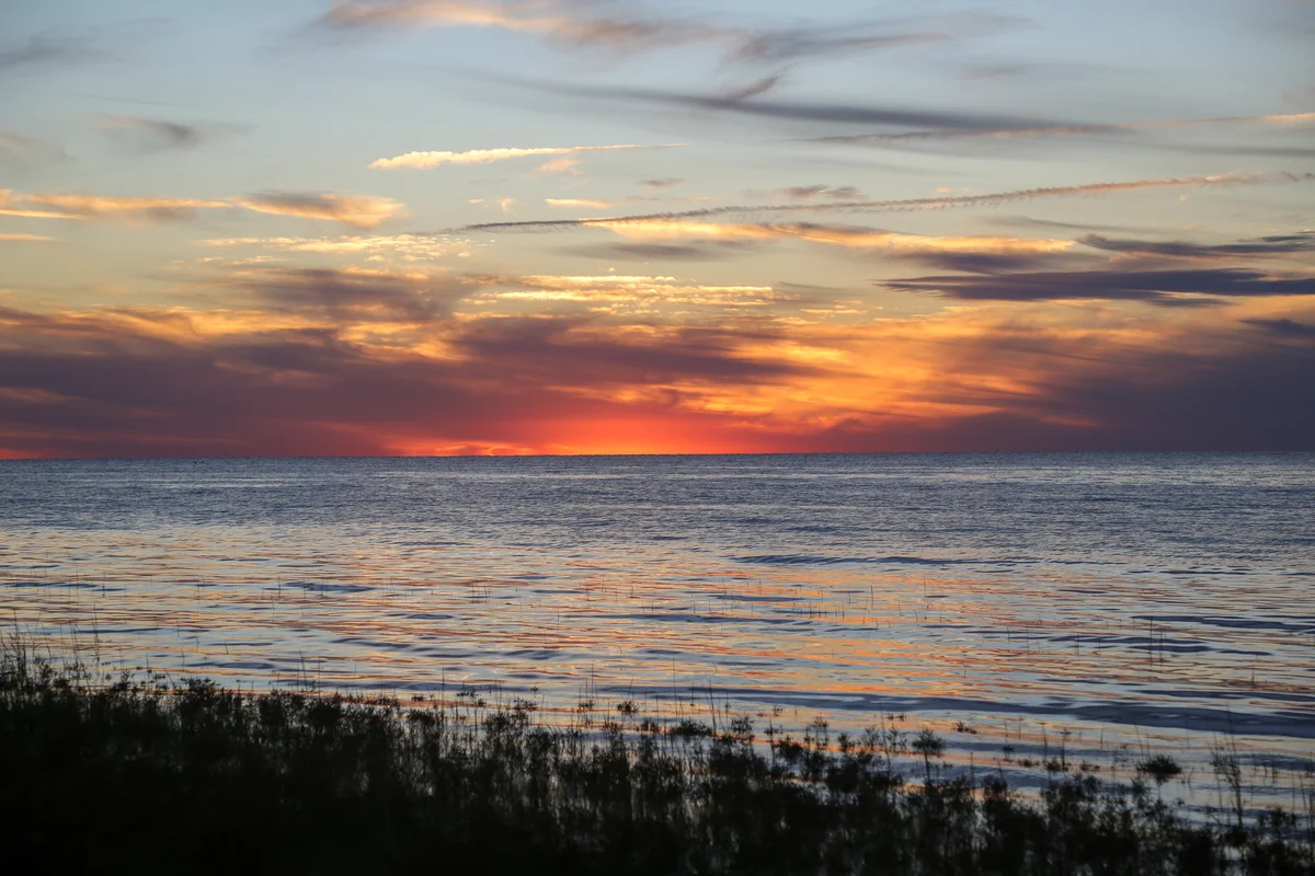 Photography collection item