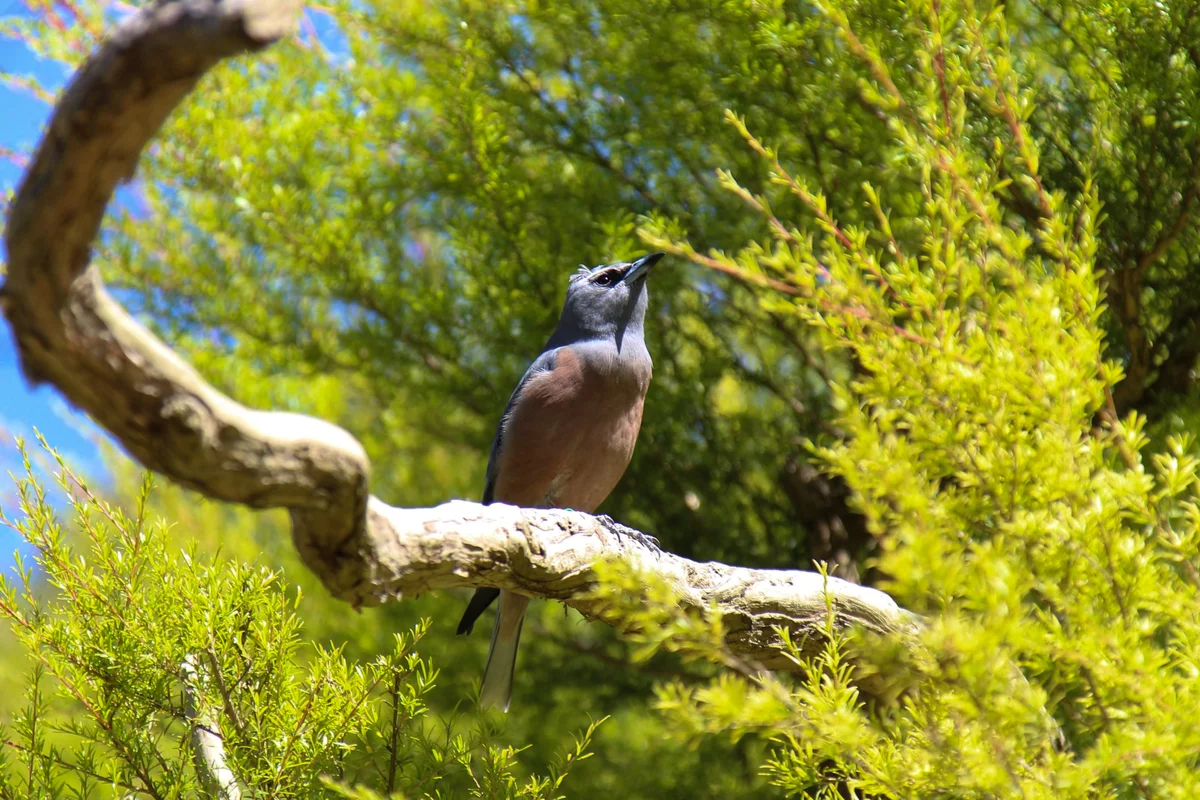 Photography collection item