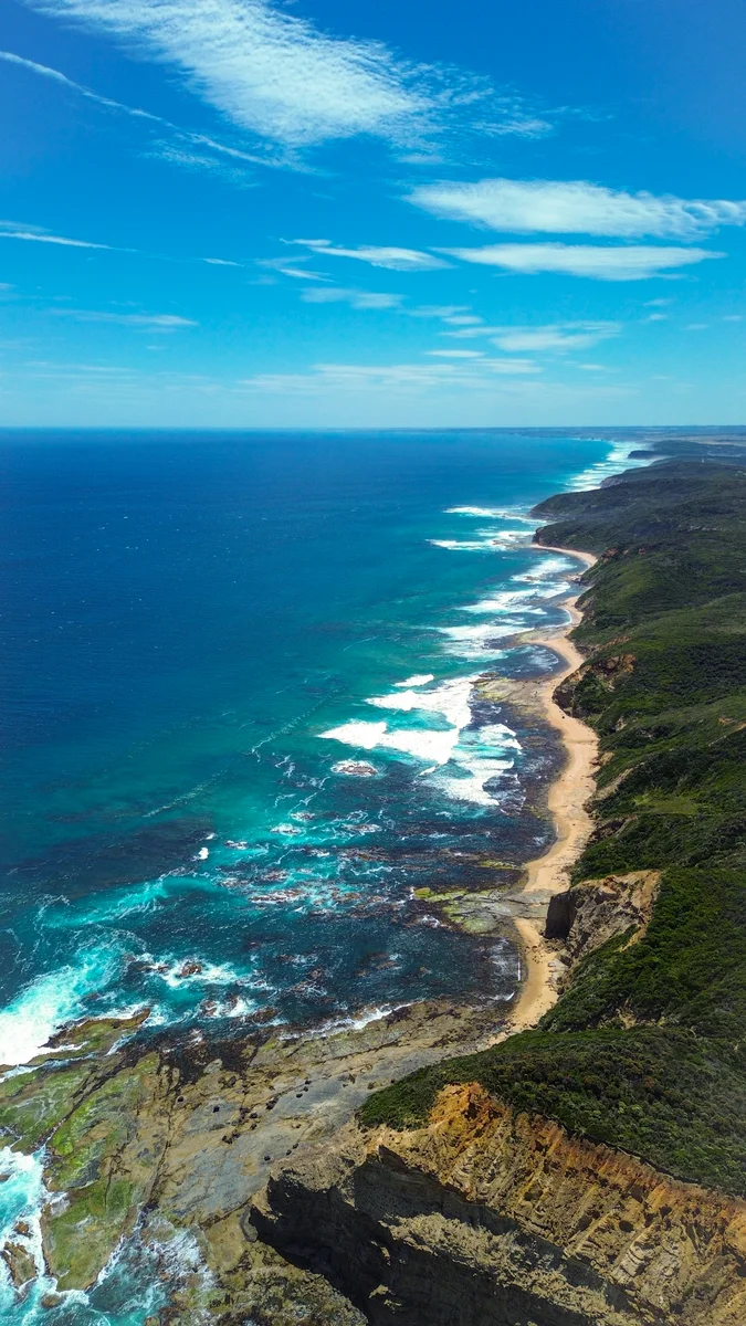 Photography collection item