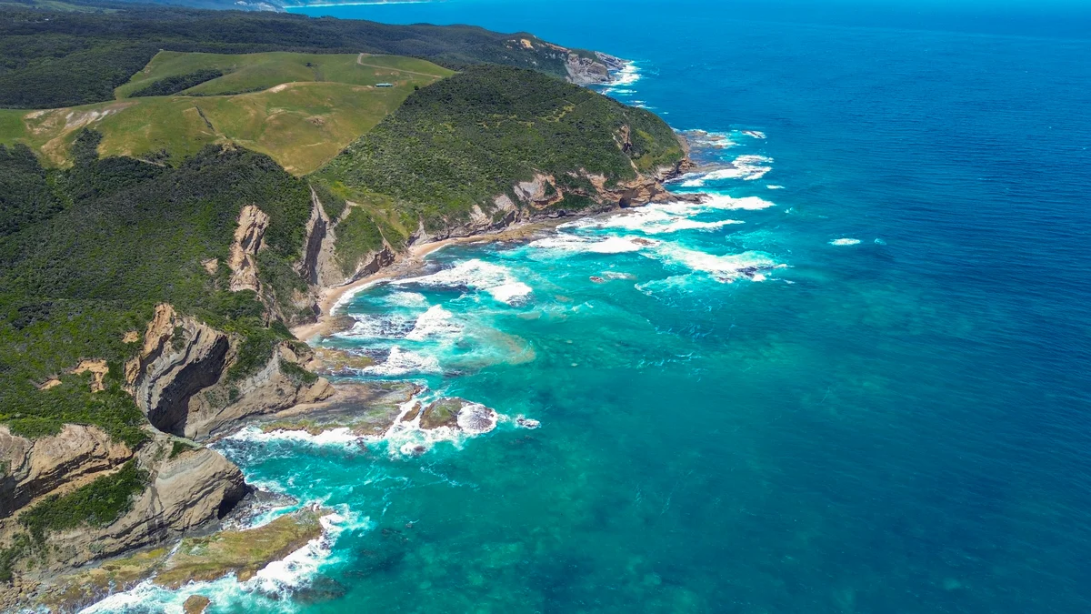 Photography collection item