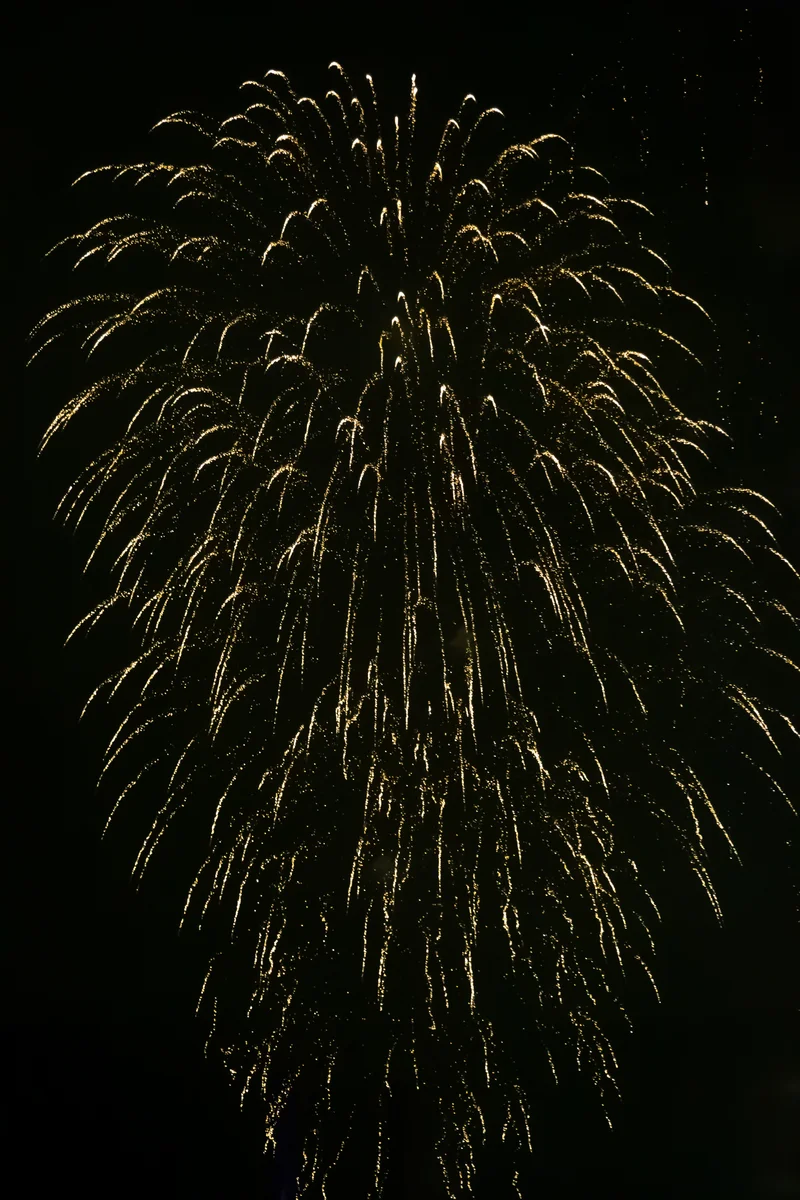 Photography collection item