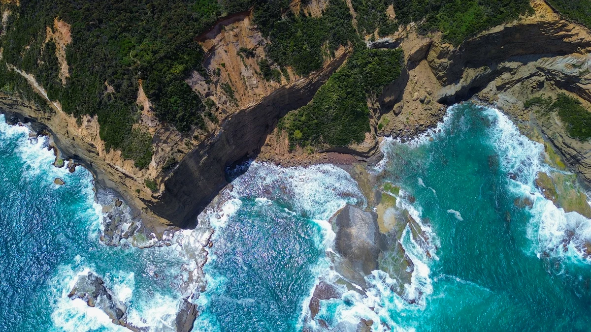 Photography collection item