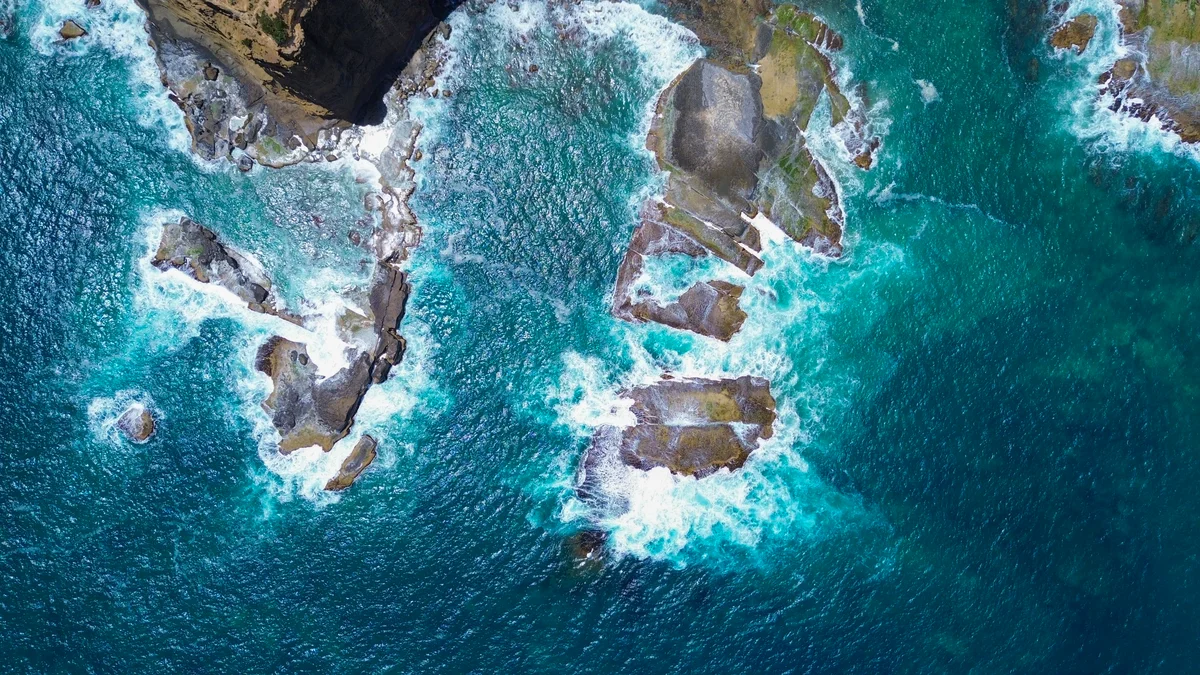 Photography collection item