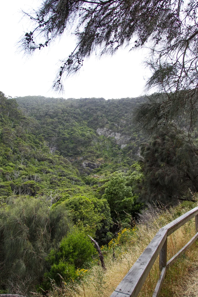 Photography collection item