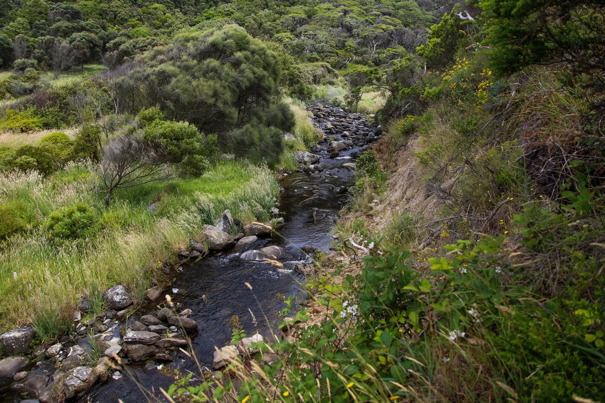 Photography collection item