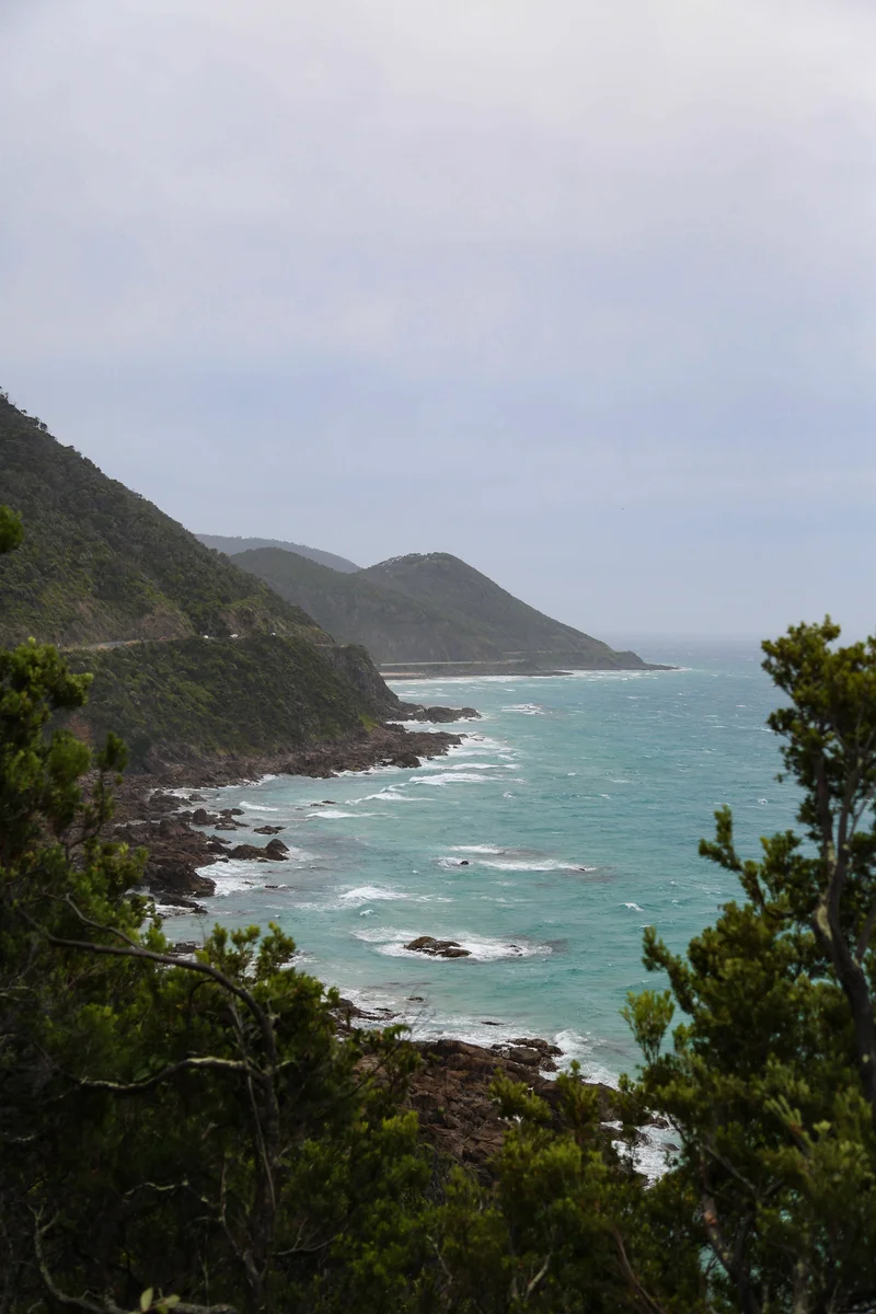 Photography collection item