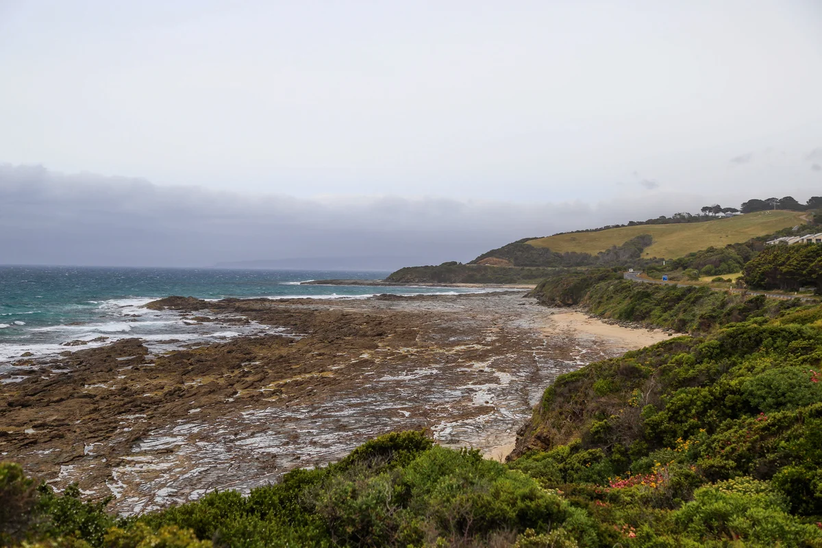 Photography collection item