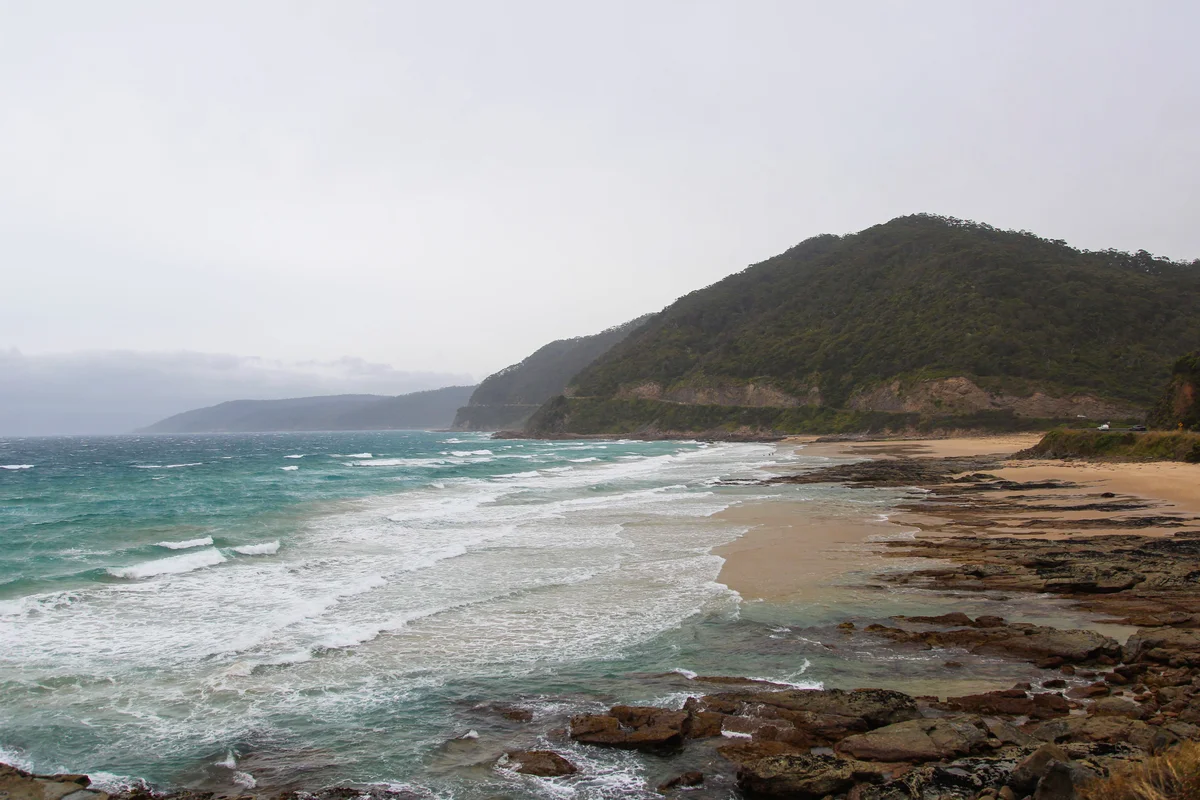 Photography collection item