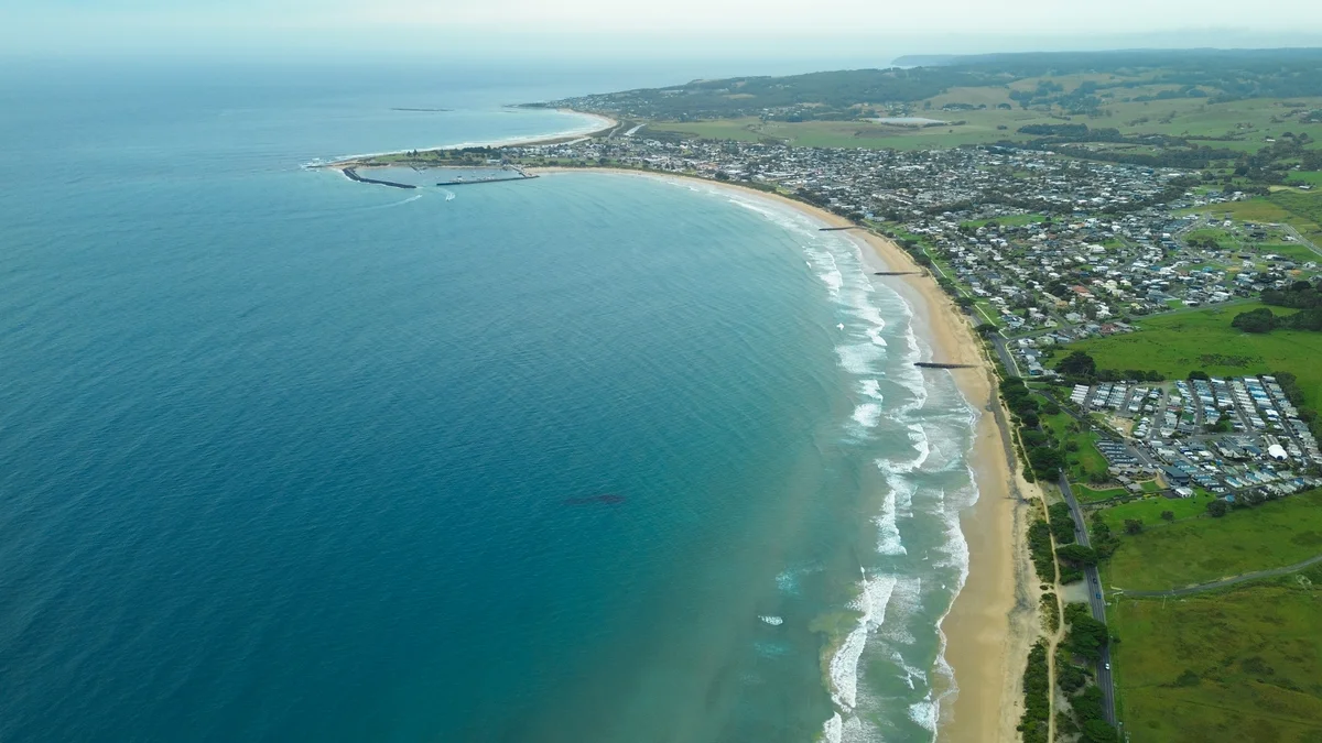 Photography collection item