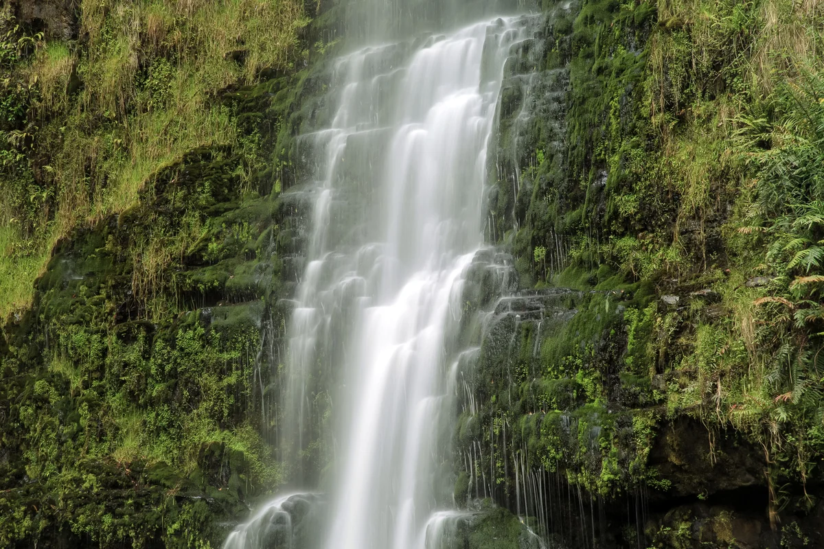 Photography collection item