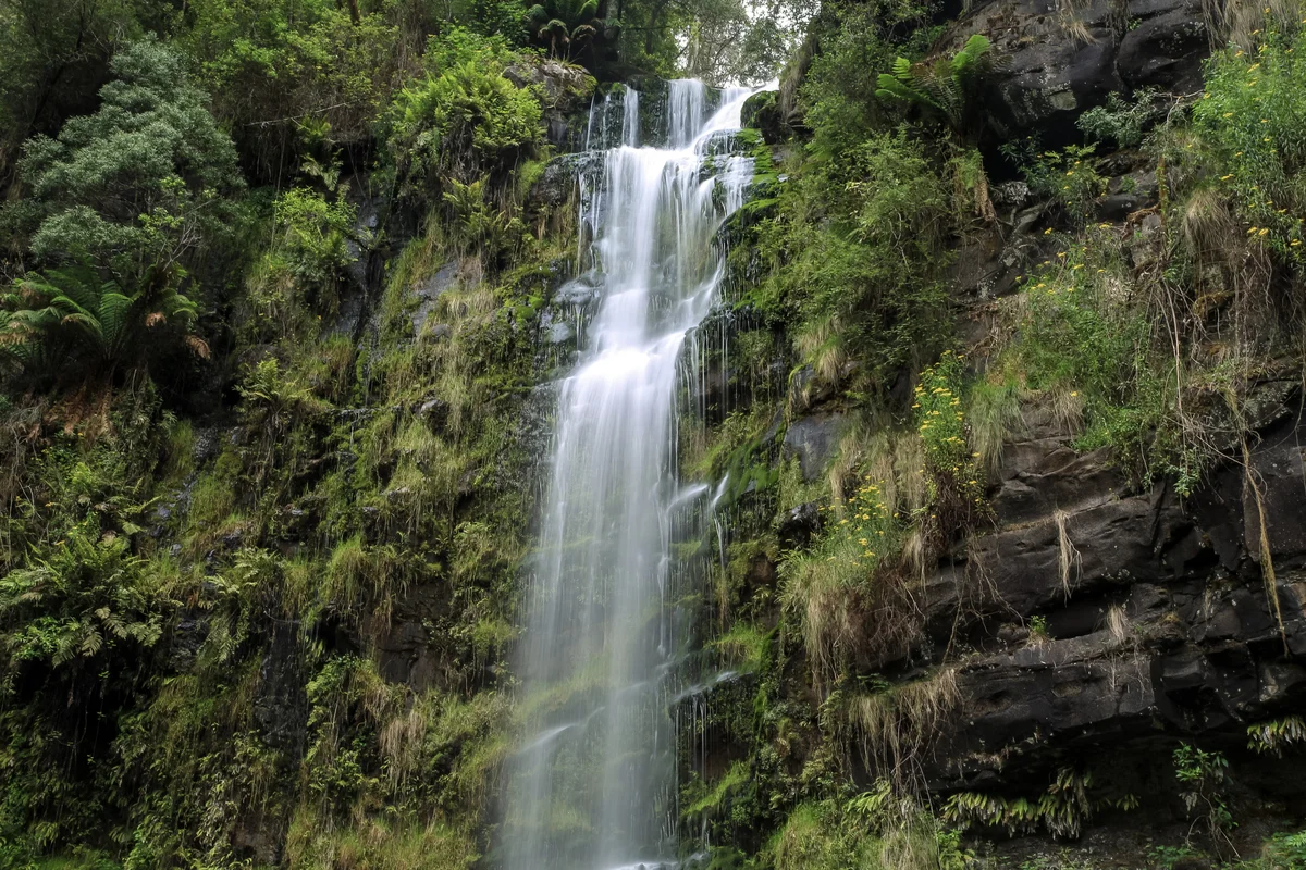 Photography collection item