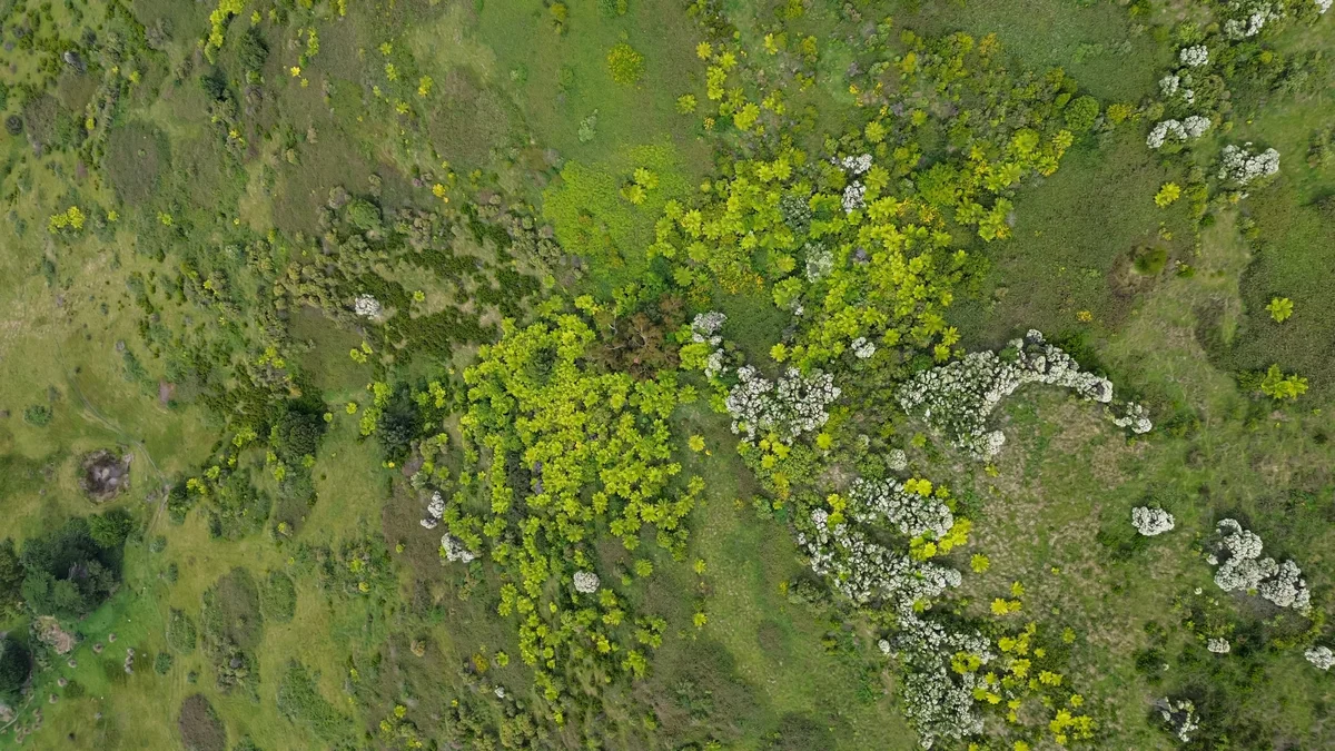 Photography collection item