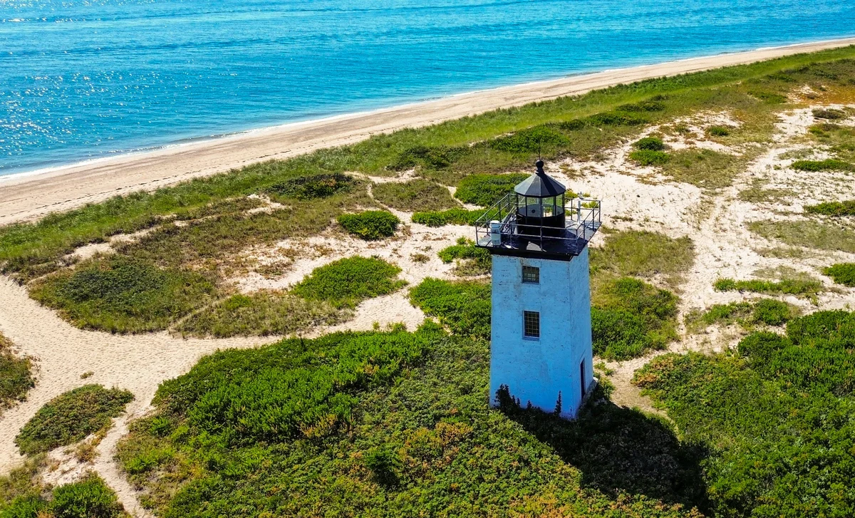 Photography collection item